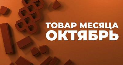 Товар месяца на тротуарную плитку Браер